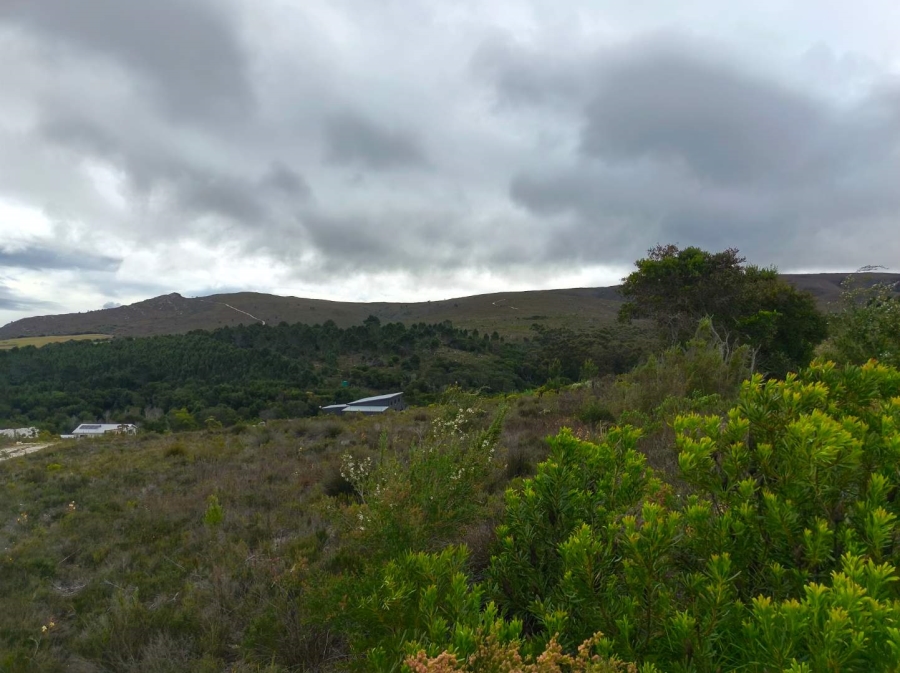 0 Bedroom Property for Sale in Baardskeerdersbos Western Cape